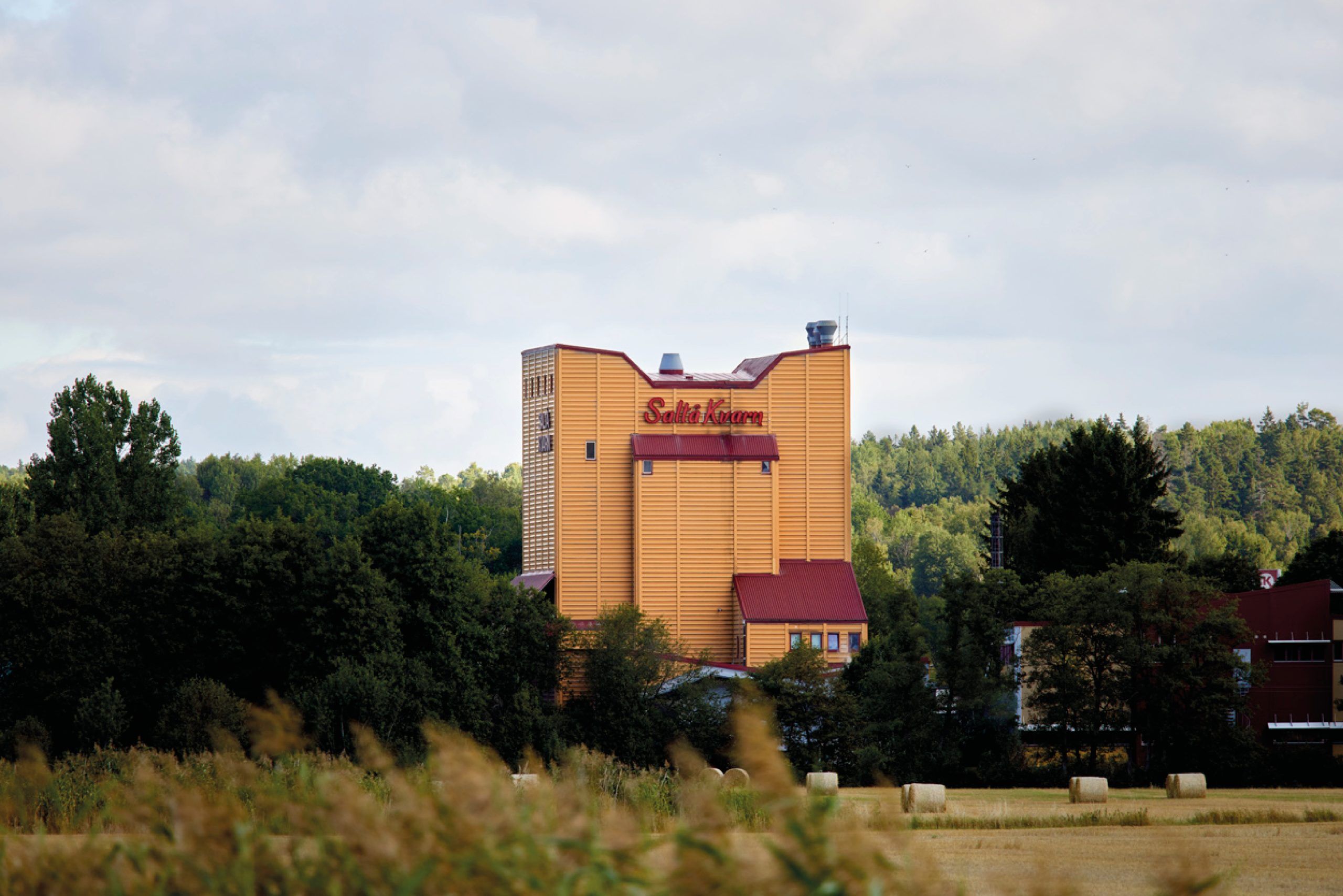 Saltå Kvarns gula kvarn utanför Nykvarn, inbäddad i skogsmijö.